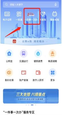桃江县人民政府办公室关于印发 2023年秋季县城义务教育阶段学校招生工作方案 的通知
